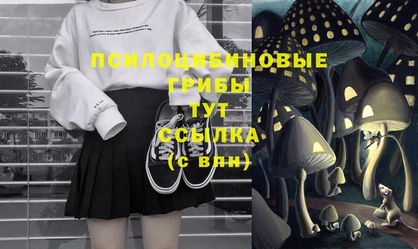 спиды Алексин