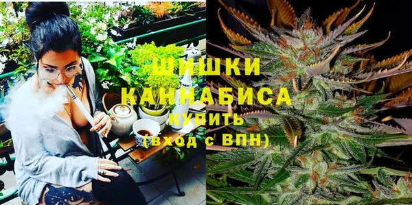 дживик Абаза