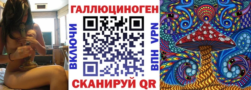 OMG tor  Красноармейск  Псилоцибиновые грибы Psilocybine cubensis 